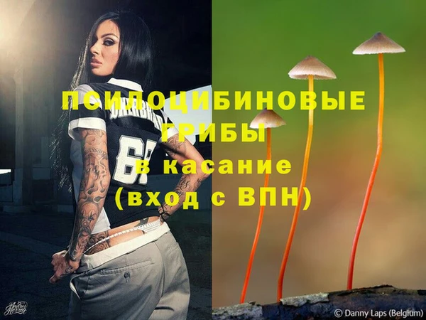 гидропоника Абдулино