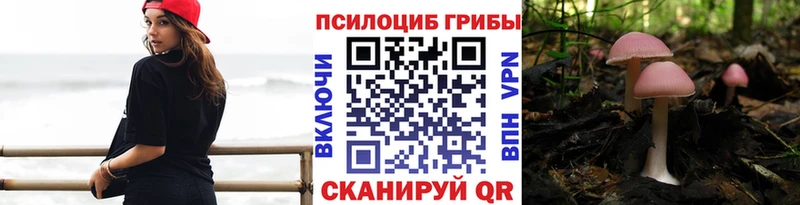 Галлюциногенные грибы MAGIC MUSHROOMS цены Псков