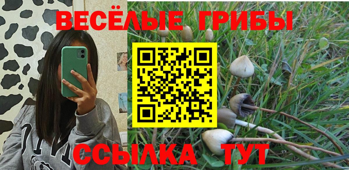 Галлюциногенные грибы ЛСД  как найти   Псков  Вход с VPN 