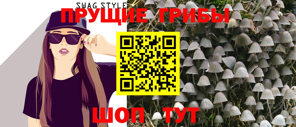Псилоцибиновые грибы GOLDEN TEACHER Псков